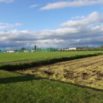 北海道 東川町 小学校 稲刈り