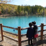 青い池 美瑛町 北海道 お土産