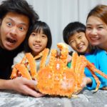 ふるさと納税 紋別市 タラバガニ