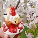 アンジェリックヴォヤージュ クレープ 函館 クレープ 賞味期限 30分