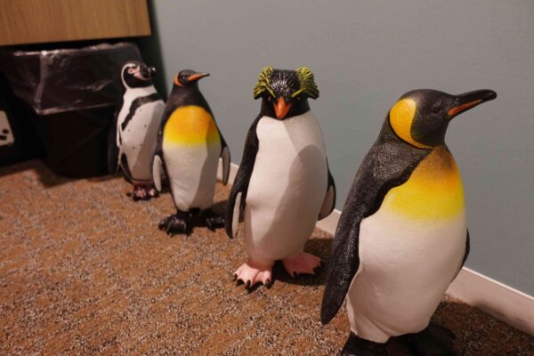 星野リゾートOMO7 旭川 旭山動物園 ペンギンルーム